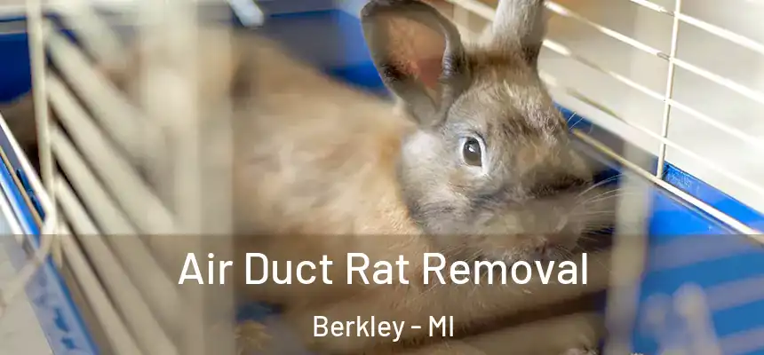  Air Duct Rat Removal Berkley - MI