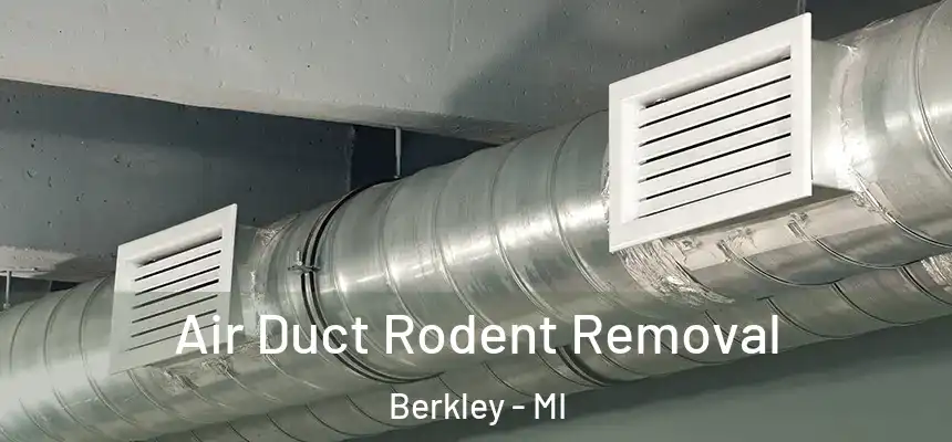  Air Duct Rodent Removal Berkley - MI