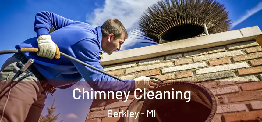  Chimney Cleaning Berkley - MI
