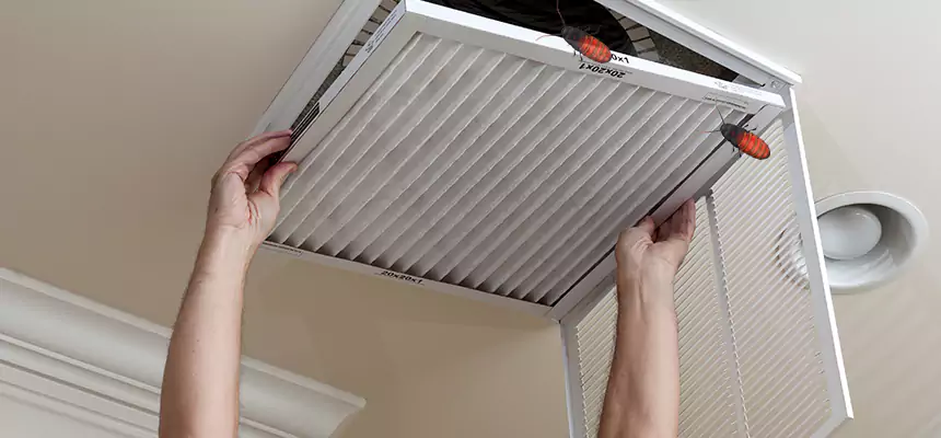 Preventive Cockroach-Proofing for Ducts in Berkley