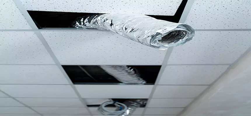 Affordable HVAC Sanitizing After Pest Removal in Berkley