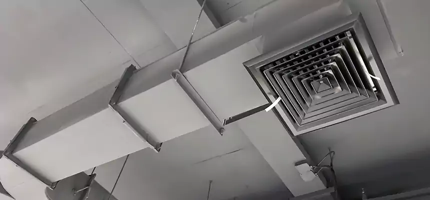 Restorative Allergy Relief Vent Cleaning – Coil, Blower & Housing Detail in Berkley