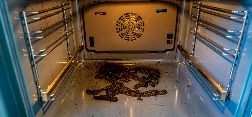 Our Dryer Vent Mold Cleaning Services in Berkley, MI