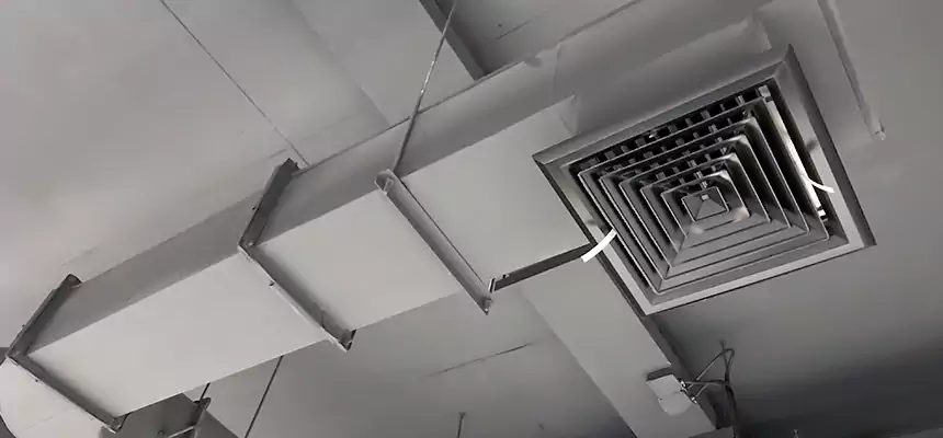 Our Pest Removal From Ducts Services in Berkley, MI