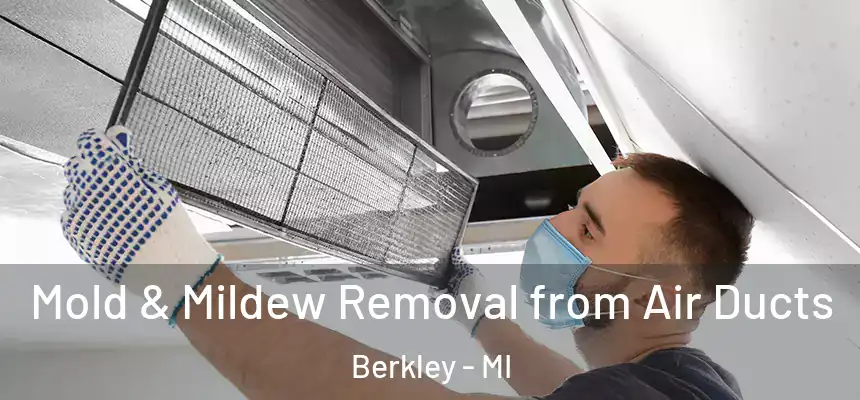  Mold & Mildew Removal from Air Ducts Berkley - MI