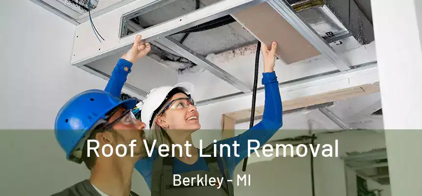  Roof Vent Lint Removal Berkley - MI
