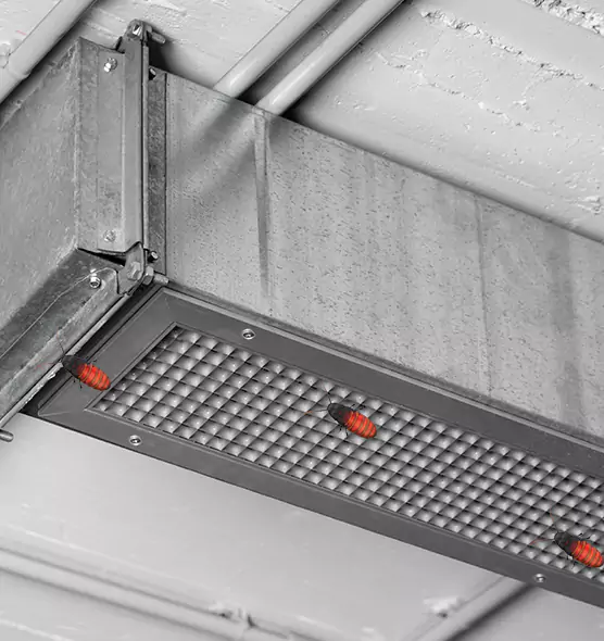 About Air Duct Cockroach Removal in Berkley, MI