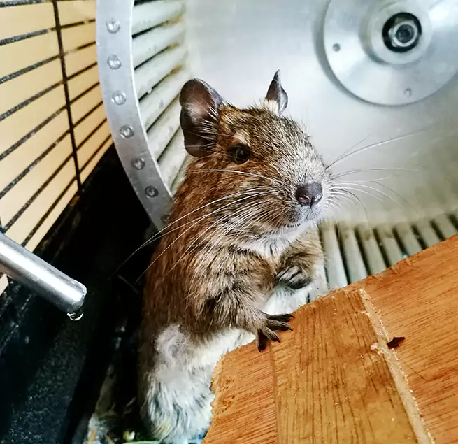 Why Homeowners & Businesses Trust Us Berkley, MI