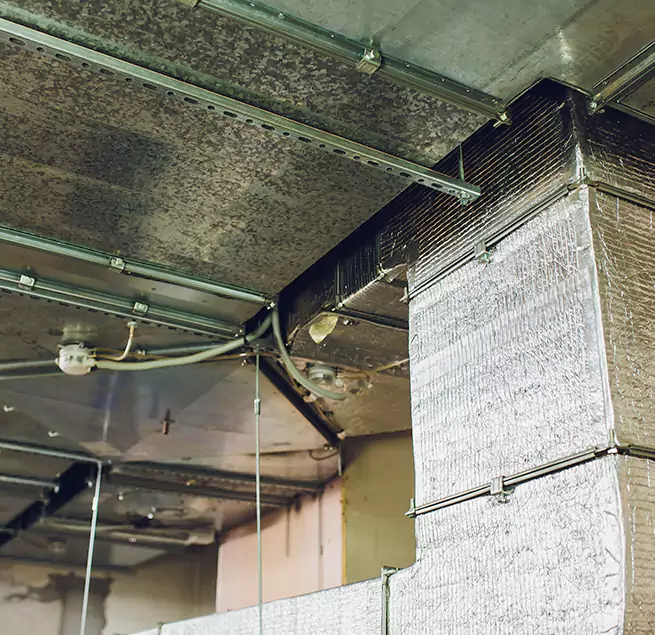 Why Homeowners & Businesses Trust Us in Berkley, MI?